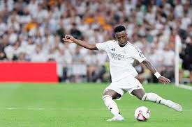 一个成功的 一个成功的